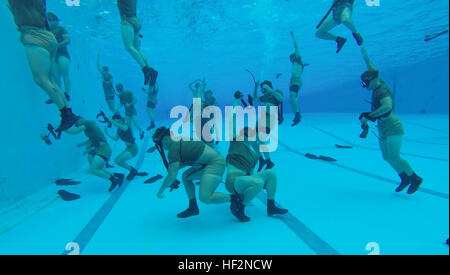 Les Marines de reconnaissance récupérer leurs nageoires et ceintures du fond d'une piscine de 13 à 18 novembre lors d'un pre-combattant diver au Camp Schwab. Cette formation est de préparer des marines pour le Marine Corps combattants Diver. Les marines sont à partir de la 3e Bataillon de Reconnaissance, 3e Division de marines, III Marine Expeditionary Force. (U.S. Marine Corps photo par Lance Cpl. Tindle Devon/libérés) Recon Marines tester les eaux avant de combattants Diver 141118-M-X268-161 Banque D'Images