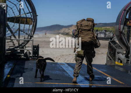 Le sergent des Marines des États-Unis. Jonathan, par voie terrestre et son chien de travail militaire, Jackson, descendre un bateau de débarquement, d'un coussin d'air au cours de l'Escadron amphibie Expeditionary Unit Intégration Formation (PMINT) à bord de Camp Pendleton, en Californie, le 6 mars 2015. Overland est un chien de travail militaire avec les forces de l'ordre, du détachement du bataillon logistique de combat 15, 15e Marine Expeditionary Unit. (U.S. Marine Corps photo par le Cpl. De Clerck McKelvey/libérés) 15e MEU marines débarquent USS Essex, terrain sur Camp Pendleton 150306-M-JT438-060 Banque D'Images