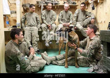 Le Sgt. Thor, chien de détection d'explosifs tactiques, s'arrête un moment tout en jouant fetch avec des soldats de d'entreprise, 2e Bataillon, 14e Régiment d'infanterie, les forces de sécurité 2/10 Brigade d'aide au poste de combat Zerok, 25 mai 2013. Thor a aidé à stimuler le moral des soldats pendant plusieurs jours au cours de l'opération, un Zerok 10 jours de patrouille de sécurité dans le district de Nikeh. (U.S. Photo de la Garde nationale par la CPS. Mark VanGerpen, 129e Détachement des affaires publiques/Mobile) Parution de détection d'explosifs tactiques pour remonter le moral de chien au cours de la mission 130525-Z-LN227-033 Banque D'Images