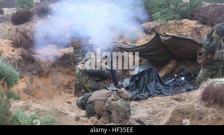 Les hommes de mortier des marines avec des armes, de l'entreprise Force de rotation de la mer Noire, un incendie M252 81 mm de mortier de poids moyen dans le cadre d'un système d'un exercice de tirs à l'écran d'été Base Militaire Adazi, la Lettonie, le 29 mars 2015. Les membres en service de la Lettonie, la Lituanie, le Luxembourg, l'Allemagne, le Canada, et les États-Unis ont participé à l'exercice 22-31 Mars à démontrer leur capacité d'employer une force de réaction de l'OTAN dans la région. Montrant la force, alliés de l'preuve de capacités militaires 150329-M-EG384-002 Banque D'Images