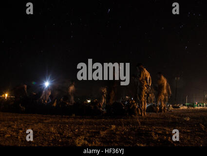 Les Marines américains avec Lima Company, l'Équipe de débarquement du bataillon du 3e bataillon du 1er Régiment de Marines, 15e Marine Expeditionary Unit, recueillir leurs engins de partir sur un raid à longue distance au cours de l'exercice de la mission de certification (CERTEX) à bord de l'aéroport de Blythe, en Californie, le 15 avril 2015. Les Marines exécuté un raid qui a commencé à partir de l'USS Essex (DG 2) au large de la côte de San Diego à un objectif en Arizona au cours de deux jours. (U.S. Marine Corps photo par le Cpl. De Clerck McKelvey/libérés) Amphibious raid de nuit, d'un océan à l'autre E280A6 Arizona 150415-M-JT438-089 Banque D'Images