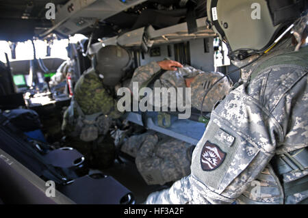 Une armée de l'Oregon vol National infirmier de la Compagnie Charlie, 7-158 Aviation, supervise un vol canadien infirmier de la 5e Ambulance de campagne, à Valcartier, au Québec, comme il charge les patients simulés dans un HH-60M Black Hawk lors de l'exercice Maple résoudre à la Base des Forces canadiennes Wainright, le 11 mai, à Denwood (Alberta). Victime exerce testé les forces armées canadiennes' le temps de réponse aux accidents de terrain et les procédures d'évacuation sanitaire avec le soutien aérien de la Garde nationale de l'Oregon. (Photo par le Sgt. Erin J. Quirke, 41ème Infantry Brigade Combat Team) Affaires publiques Oregon Army National Guard mede Banque D'Images