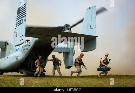 U.S. Marine MV-22B Balbuzard de Outillage spécial air-sol marin crise Response-Africa Task Force a quitté la Base Aérienne de Mihail Kogălniceanu, Roumanie, tandis qu'une brigade de Marines à partir de la mer Noire une force de rotation à l'appui d'une formation au cours de l'exercice multilatéral Platinum Eagle 15, 26 mai 2015. Les Ospreys à gauche de la Base Aérienne de Morón, Espagne, plus tôt dans la semaine, et est arrivé à travailler avec leurs alliés de l'armée roumaine et bulgare. Les Ospreys livré les Marines de la zone d'entraînement Babadag, où ils ont montré leur capacité à mener des opérations de sécurité. La formation représente le Banque D'Images