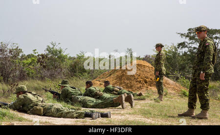 Un instructeur de tir avec 2e Bataillon, Royal Canadian Regiment, travaille avec les Nations Unies de mener une formation au fusil Gamme Hattieville, Belize, le 17 juin, 2015. Tradewinds 2015 est une combinaison d'Command-Sponsored sud américaine mixte, l'exercice et de l'occasion pour les nations participantes de se réunir et de renforcer la sécurité régionale. (U.S. Marine Corps Photo par Lance Cpl. Kimberly Aguirre/libérés) Tradewinds 2015 150617-M-NX410-041 Banque D'Images