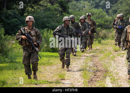 Les Marines américains avec Fox compagnie, 2e Bataillon, 24e, 23e Régiment de Marines Marines, 4e Division de marines (MARDIV), Forces maritimes Réserver et République de Corée (ROK) Marines avec 5e compagnie, 2e Bataillon, 7e Régiment de Marines, LRE MARDIV tactiques d'échange et de procédures opérationnelles standard pour les patrouilles et des pièces pendant les opérations militaires en territoire urbain (MOUT) partie du programme d'échange maritime coréen 15-8 à Pohang, Corée du Sud dans le cadre de la péninsule de Express 15, 3 juillet 2015. Peninsula Express fait partie d'une série de service régulièrement combinés, petit-unité, l'entraînement tactique e Banque D'Images