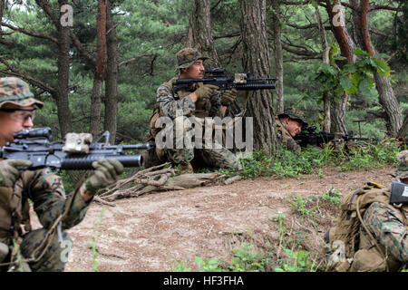 Les Marines américains avec Fox compagnie, 2e Bataillon, 24e, 23e Régiment de Marines Marines, 4e Division de marines (MARDIV), Forces maritimes Réserver et République de Corée (ROK) Marines avec 5e compagnie, 2e Bataillon, 7e Régiment de Marines, LRE MARDIV tactiques d'échange et de procédures opérationnelles standard pour les patrouilles et des pièces pendant les opérations militaires en territoire urbain (MOUT) partie du programme d'échange maritime coréen 15-8 à Pohang, Corée du Sud dans le cadre de la péninsule de Express 15, 3 juillet 2015. Peninsula Express fait partie d'une série de service régulièrement combinés, petit-unité, l'entraînement tactique e Banque D'Images