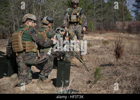 Raiders marines à partir de la Compagnie F, 2d Marine Raider bataillon, perfectionné leurs compétences tir de mortiers de 60 mm dans le cadre d'un exercice collectif de Fort Jackson, L.C., le 25 février 2016. Des Raiders CEP 2d compétences testées à CCE 160225-M-LS286-006 Banque D'Images