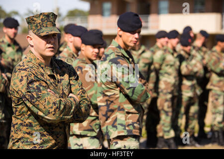 Dutch Marines avec la 32e Compagnie de maraudage en savoir plus sur les capacités de l'armée des chiens de travail au cours d'une démonstration à bord Camp Lejeune, N.C., 7 mars 2015. La démonstration a présenté les capacités de l'armée des chiens de travail à la 32e Compagnie néerlandaise des raids, qui utilisent les installations sur la base d'effectuer de multiples exercices de formation pour les semaines à venir. Les chiens sont formés pour rechercher des explosifs et de la drogue cachée, et sont formés pour prendre les combattants violents. (U.S. Marine Corps photo par Lance Cpl. Samuel Guerra/libérés) Dutch Marines tactiques de combat renforcer- 160307 Banque D'Images