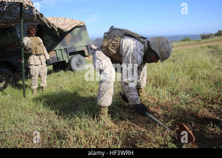 MARINE CORPS BASE CAMP PENDLETON, en Californie - Marines avec batterie Q, 5e Bataillon, 11e Régiment de Marines, je Marine Expeditionary Force, mis en place au printemps, filet de camouflage de l'exercice incendie au Camp Pendleton, 31 mars 2016. Au cours de l'évolution de la formation interarmes, chaque bataillon est déplacé à un autre endroit sur une base fréquente afin de simuler des positions qu'ils détiendraient en fonction de situations spécifiques, à la mise en place et à briser leurs avant-postes le plus rapidement possible. (U.S. Marine Corps Photo par le Cpl. Demetrius Morgan/) Parution toujours prêt, de l'artillerie de marine Brasser pendant le printemps F Banque D'Images