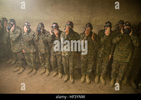 Les recrues des Marines de la Golf Company, du 2e bataillon d'entraînement des recrues, des masques à gaz transparents et de l'expérience de l'exposition au gaz d'entraînement à Parris Island pendant l'entraînement des recrues du corps des Marines. Banque D'Images