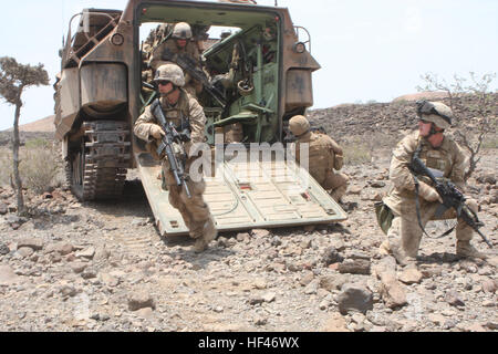 Le Cpl. Daniel Mallory, chef de peloton avec le 1er Bataillon, la Compagnie Alpha, l'équipe d'atterrissage 1er Bataillon, 9e Régiment de Marines, 24e Marine Expeditionary Unit, fixe l'arrière d'un véhicule d'assaut amphibie que lance le Cpl. Daniel Pursley, chef de l'équipe, mène son équipe vers l'objectif point durant une attaque mécanisée dans le cadre d'un champ de tir réel à Djibouti le 29 mars. L'AAV de véhicule d'assaut amphibie et transportés de peloton d'infanterie de marine pris en charge tout au long de l'environnement montagneux. La 24e MEU Marines ont mené une série d'exercices conjoints de soutien et aux côtés de l'iilm Banque D'Images