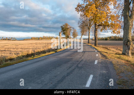 Des routes à travers le paysage Banque D'Images