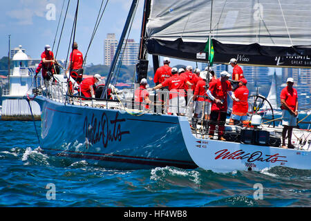 Sydney, Australie. 12Th sep 2016. Huit fois vainqueur 'Wild Oats XI' skippé par Mark Richards photographié avant le début de la Rolex Sydney Hobart Yacht Race avec le tir d'un canon de départ à 13h00 dans le port de Sydney le lendemain de Noël, le 26 décembre. © Hugh Peterswald/Pacific Press/Alamy Live News Banque D'Images