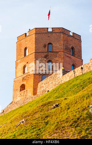 La tour de Gediminas sur le sommet de la colline à Vilnius, Lituanie Banque D'Images