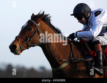 Monté par Elgin Wayne Hutchinson avant de gagner le 32Red Casino Novices' Hurdle Race exécuter au cours de la première journée de la 32Red Winter Festival à Kempton Park racecourse. Banque D'Images