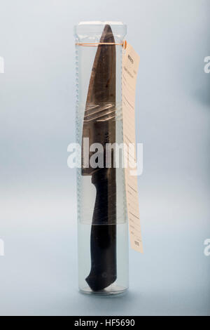 Couteau de scène de crime récupéré et placé dans un tube contenant que des couteaux judiciaires recoverd preuve police Banque D'Images