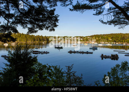 Bateaux amarrés dans le nord-est de l'Harbor, Maine, USA Banque D'Images