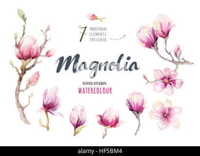 Aquarelle fleur de Magnolia décoration papier peint main art floral arbre isolé libre illustration. Fleurs naturelles décorative Banque D'Images