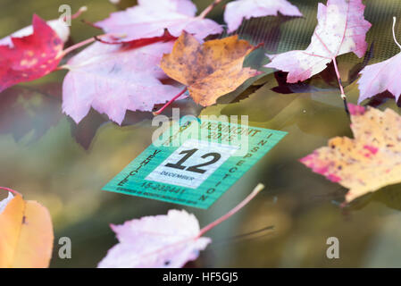 Les feuilles d'automne et d'inspection autocollant sur le pare-brise d'une voiture en montagnes Vertes du Vermont. Banque D'Images