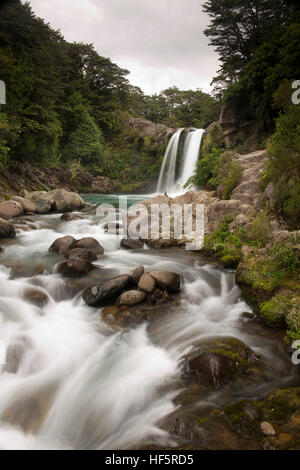 Tawhai Falls se trouve à 13 mètres de haut situé à cascade dans le parc national de Tongariro, le long de la voie à whakapapa village. facile et agréable à pied jusqu'à Banque D'Images