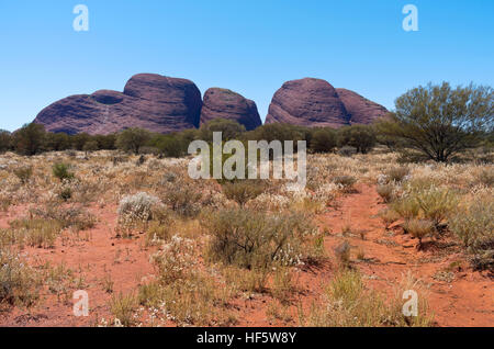 Dômes de Kata Tjuta et uluru dans la flore du désert le parc national de Kata Tjuta Australie Territoire du nord Banque D'Images