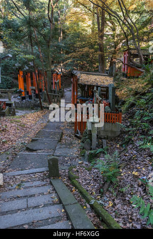 Lever du soleil avec des feuilles d'automne et torii gates, haut de la montagne, Inari Fushimi Inari Taisha Temple Shintoïste, Kyoto, Japon Banque D'Images