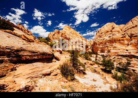 Le sentier à Hickman Bridge est Capitol Reef National Parcs de randonnée le plus populaire et offre une vue superbe de la Waterpocket Fold et le majestueux nat Banque D'Images