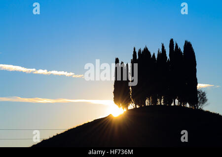 Hills panorama au coucher du soleil. cyprès sur la colline parlementaire. Paysage minimal Banque D'Images