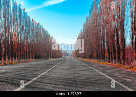 Route de l'autoroute vers les montagnes rouges de l'automne par l'allée des peupliers Banque D'Images