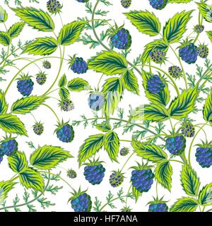 Les framboises de couleur modèle homogène. Modèle de couleur transparente avec tirage main bleu graphique de framboises et de feuilles vertes. Vector illustration. Illustration de Vecteur