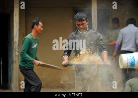 Katmandou, Népal. 12Th sep 2016. Un cornac prépare la nourriture pour l'éléphant à Sauhara, Chitwan. © Narayan Maharjan/Pacific Press/Alamy Live News Banque D'Images