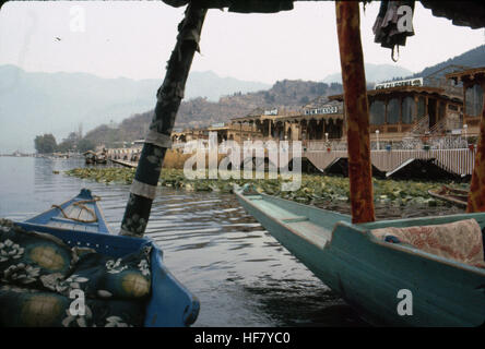 Deux shikaras sur le lac Dal, Srinagar, au Cachemire. Houseboats, où les Britanniques en vacances et les touristes restent maintenant, sont à l'arrière-plan. Banque D'Images