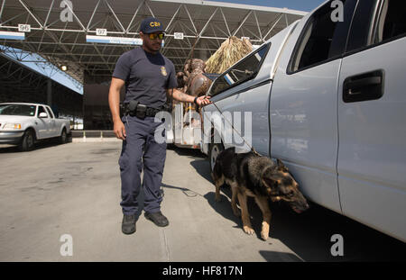 Un U.S. Customs and Border Protection officer et son chien recherchez un véhicule transportant des produits aux États-Unis à l'Otay Mesa, Californie, le port d'arrivée, le 23 juin 2016. par Glenn Fawcett Banque D'Images