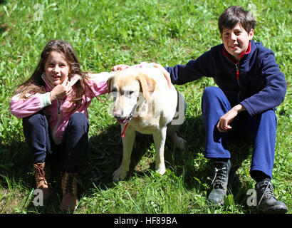 Les jeunes frères et sœurs avec leur gros labrador chien sur l'herbe Banque D'Images