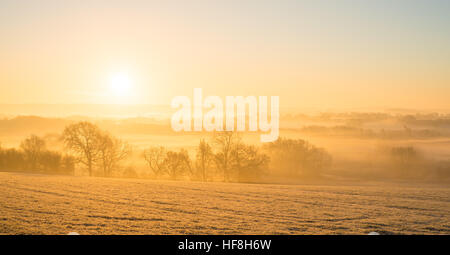 Près de Warwick, Warwickshire, UK, le 29 Dec 2016, soleil se lève sur une campagne brumeuse sur un matin glacial hivers frais avec une température de -6ºC. © Dan Tucker/Alamy Live News Banque D'Images