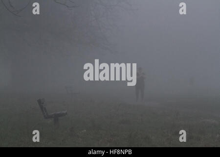 Wimbledon Londres, Royaume-Uni. Déc 30, 2016. Une randonnée pédestre à travers forêt du brouillard givrant dans Wimbledon Common © amer ghazzal/Alamy Live News Banque D'Images