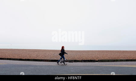 Brighton, UK. Déc 30, 2016. Une femme entre son chien le long d'un front de mer de Brighton brumeux ce matin le brouillard et de basses températures ont été prévues pour le sud de l'Angleterre d'aujourd'hui © Simon Dack/Alamy Live News Banque D'Images