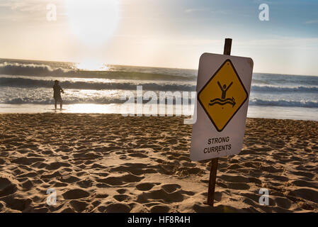 Un homme et une pêche surf panneau d'avertissement à une plage de Sydney tôt un matin d'été Banque D'Images