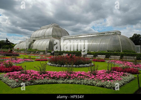 Le Glasshouse Kew Gardens Palm West London England UK Royaume-Uni UE Union Européenne Europe Banque D'Images