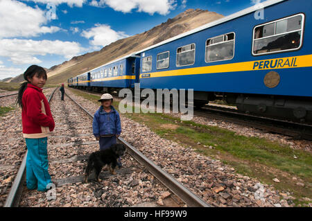 La Raya pass, Puno, Pérou. Communauté andine Explorer, bateau train de Cusco à Puno. Dans la moitié de la distance le train fait un arrêt en route à un endroit calle Banque D'Images