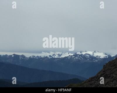 Le mont Olympe, la péninsule Olympic National Park, Washington, États-Unis d'Hurricane Ridge Banque D'Images