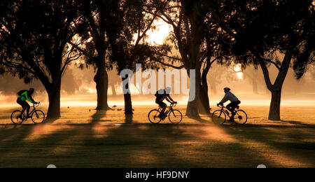 Les cyclistes rouler sur une piste cyclable dans un parc sur un matin brumeux au lever du soleil. Banque D'Images