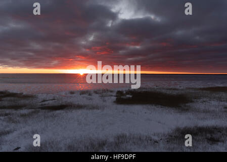 Paysage du soir, le lac Võrtsjärv, Estonie 28.12.2016 Banque D'Images