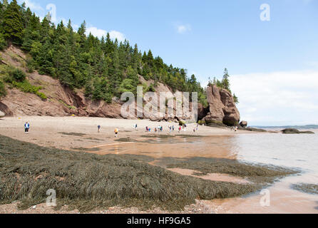 L'avis de Hopewell Rocks Park Beach célèbre pour ses marées extrêmement élevée et érodé les roches (Nouveau-Brunswick, Canada). Banque D'Images