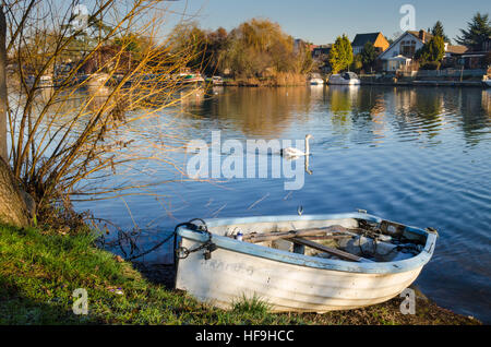 Un bateau à rames est enchaîné à un arbre sur la rive de la Tamise à Windsor dans le Berkshire, Royaume-Uni. Banque D'Images