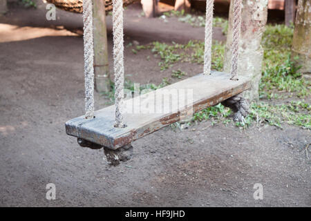 Vieux bois swing pendu sur l'arbre, stock photo Banque D'Images