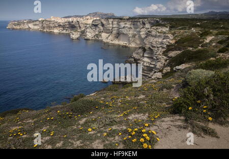 La vieille ville de Bonifacio, sur des falaises de calcaire du Miocène, Corse du sud Banque D'Images