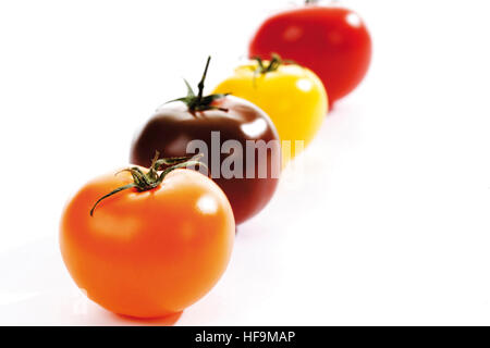 Tomates assortis : orange, marron, jaune, rouge Banque D'Images