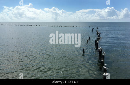 Mettez hors tension l'onde l'embarcadère de Higgs Beach à Key West, en Floride. Banque D'Images