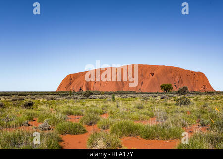 Uluru, Centre Rouge, Territoire du Nord, Australie. Banque D'Images